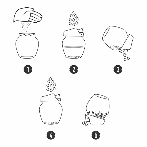 Kiełkownica słoikowa Twist-off + 5 opakowań nasion - 9 ['kiełkownica', ' kiełkownica szklana', ' hodowanie kiełków', ' kiełkownica słoikowa', ' kiełkownik', ' kielkownica', ' kiełki rzodkiewki', ' brokuł Rabbs', ' kiełki fasoli mung']