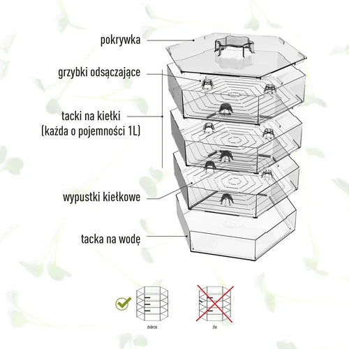 Kiełkownica wielopoziomowa Niezłe Ziółko z nasionami rzodkiewki - 11 ['zdrowe kiełki', ' domowa uprawa kiełków', ' kiełki produkt wegański', ' uprawa kiełków w domu', ' kiełki rzodkiewki', ' uprawa kiełków', ' nasiona rzodkiewki', ' zestaw kiełkownica z nasionami', ' kielkownica']