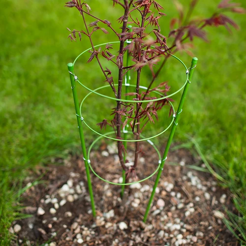 Podpora pierścieniowa do roślin 3 pierścienie 0,5m - 3 ['podpora do roślin', ' podpora pierścieniowa do krzewów', ' podpora ogrodowa', ' podpora na róże', ' pergola ogrodowa', ' obejma do roślin', ' podpórka do roślin', ' podpora kwiatowa', ' podpora do roślin doniczkowych', ' podpora do hortensji', ' podpora do borówek', ' podpora do roślin pnących', ' podpora zielona', ' podpora do roślin ciemnozielona', ' podpora do roślin stalowa z pierścieniami']