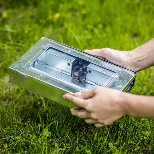 Pułapka na myszy metalowa - żywołapka - 9 ['pułapka na gryzonie', ' żywołapka na gryzonie', ' humanitarna metoda zwalczania gryzoni', ' ekologiczna pułapka na gryzonie', ' bezkrwawa metoda zwalczania gryzoni', ' bezpieczna pułapka na gryzonie', ' pułapka na myszy i szczury', ' zwalczanie szkodników bez trucizn', ' pułapka na szkodliwe gryzonie', ' pułapka na gryzonie do użytku domowego i ogrodowego', ' narożna pułapka na myszy', ' metalowa łapka na myszy', ' metalowa żywołapka']