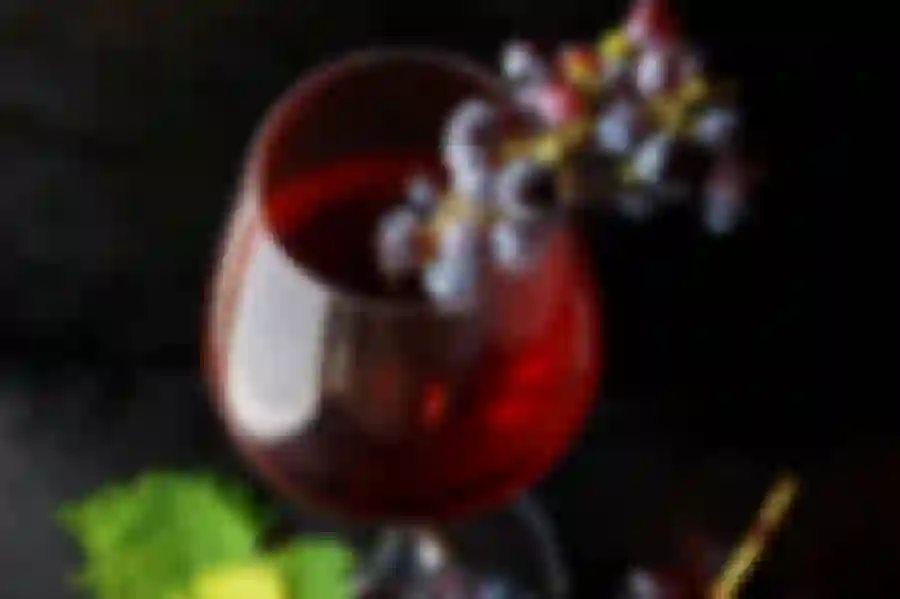 Browin Przepiśnik - Domowe wino czerwone gronowe