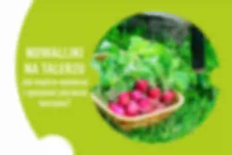 Browin Blog - Nowalijki na talerzu – jak mądrze wybierać i spożywać pierwsze warzywa?