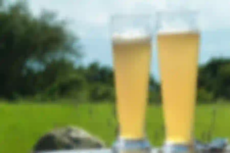 Browin Przepiśnik - Piwo pszeniczne „Białe”