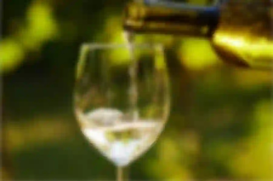 Browin Przepiśnik - Wino białe gronowe - lekkie